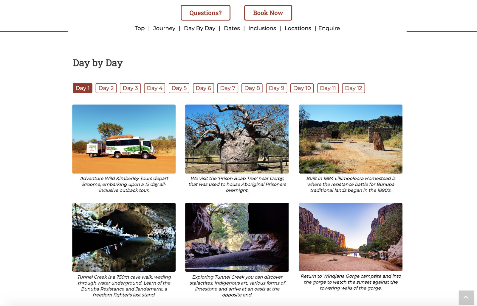 Adventure Wild Day by Day Visual Diary