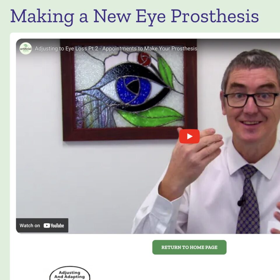 Artificial Eye Services - Big Video Feature