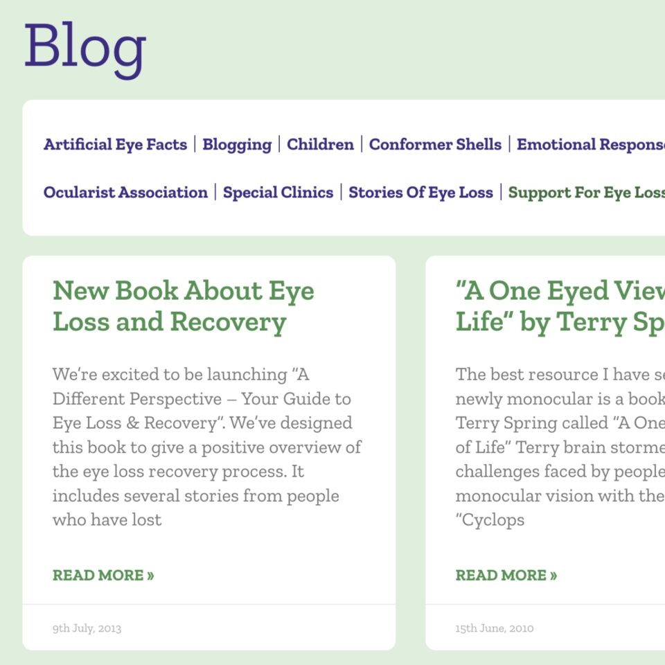 Artificial Eye Services - Blog Filtered Feature