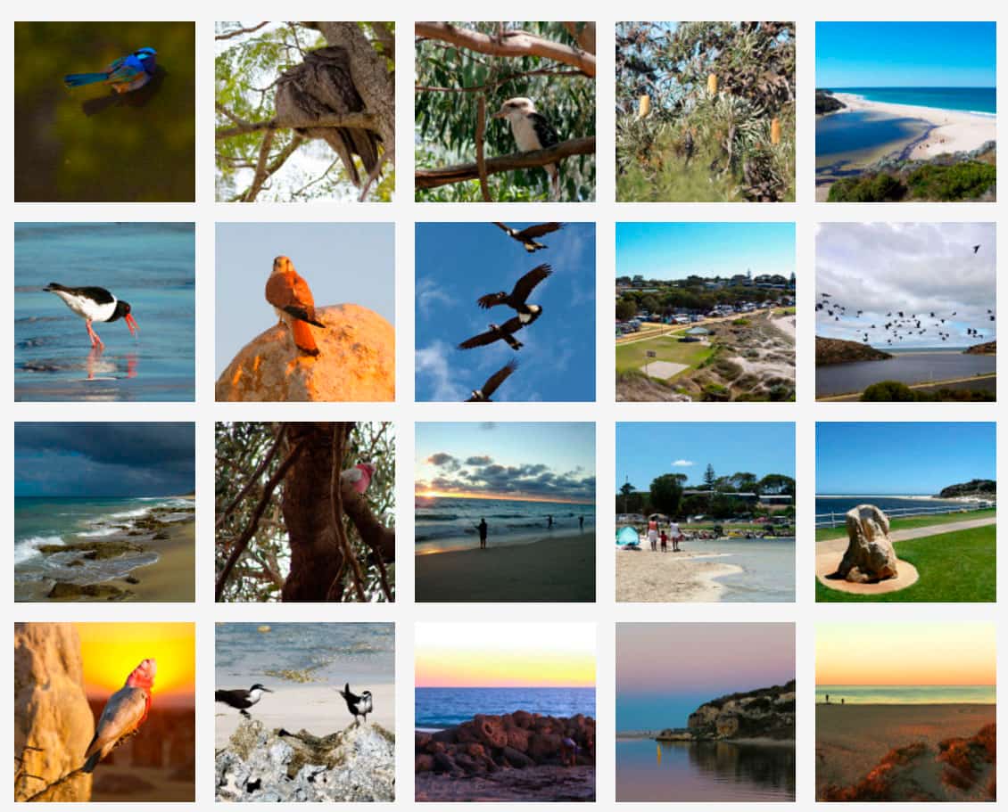 guildertonimagegallery