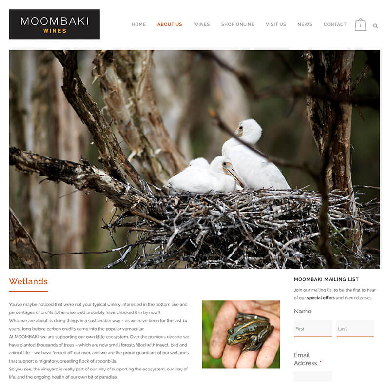 Moombaki Wines wetlands