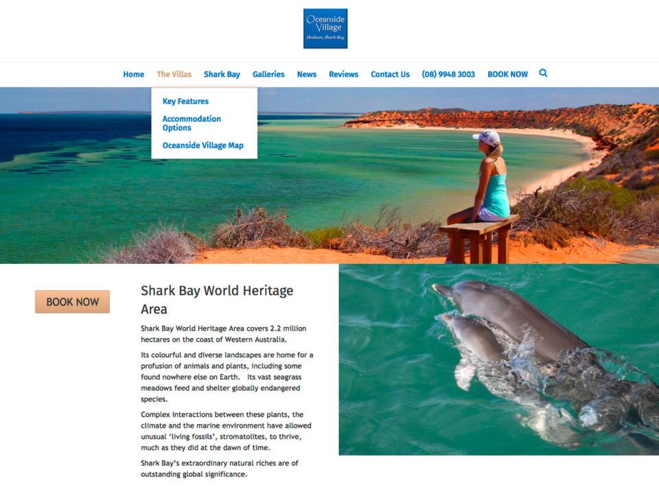 OceansideThingsToDo