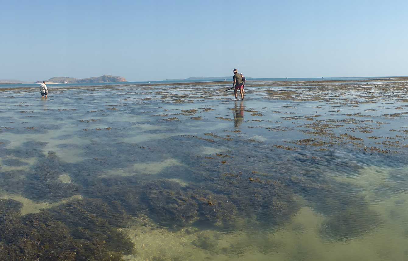 Outer Island Reef System