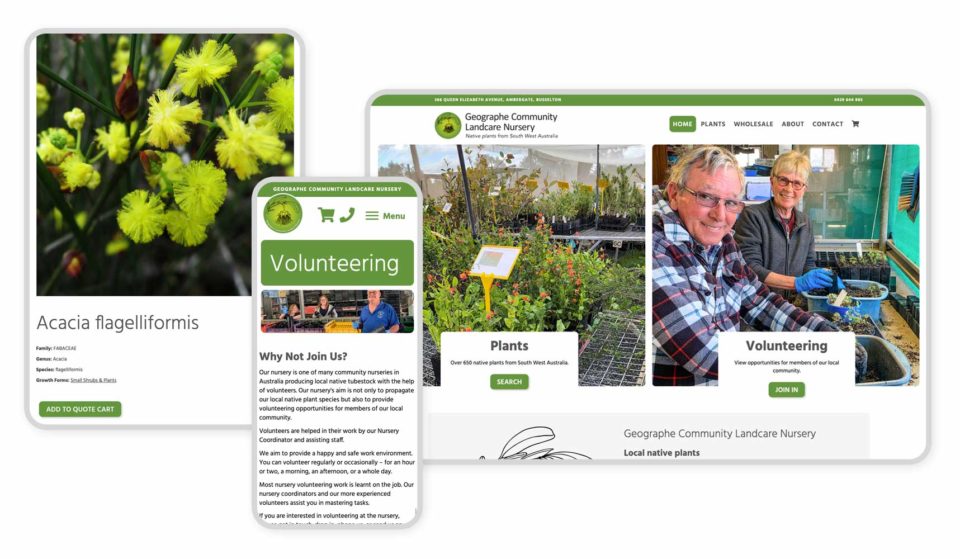 Responsive Graphic GCLN