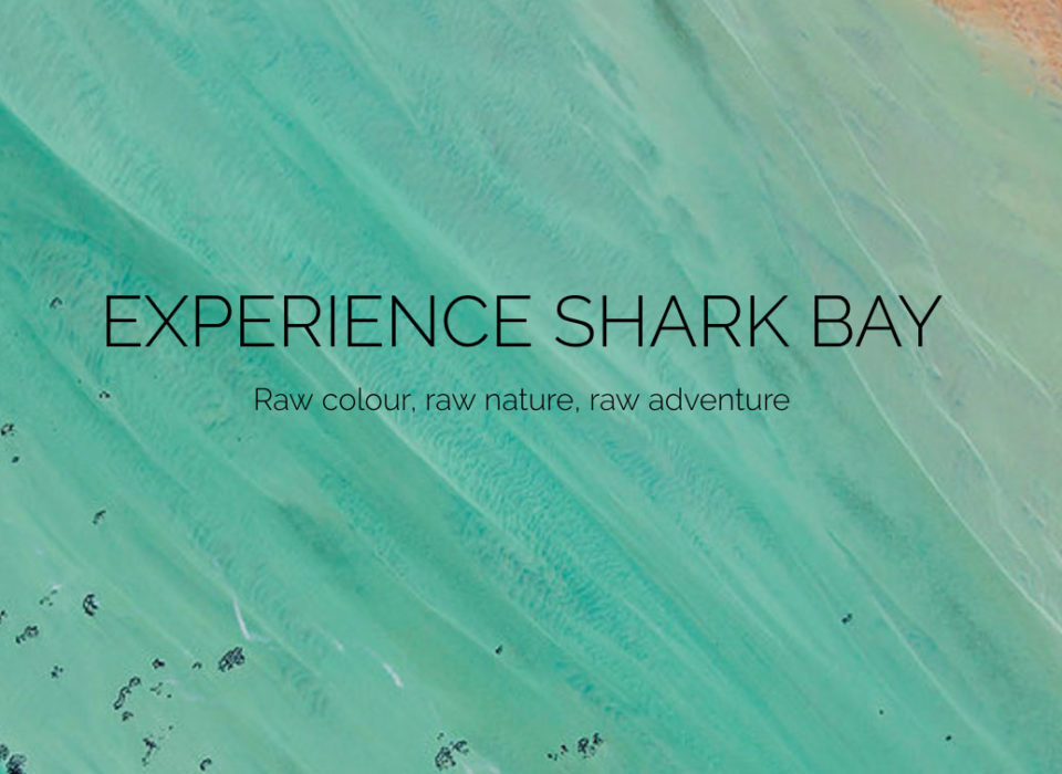 Shark Bay Tourism website designed by Tectalic