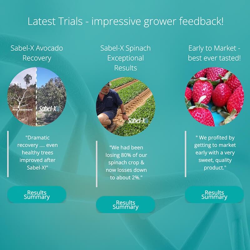 Sustainable Farming Solutions home