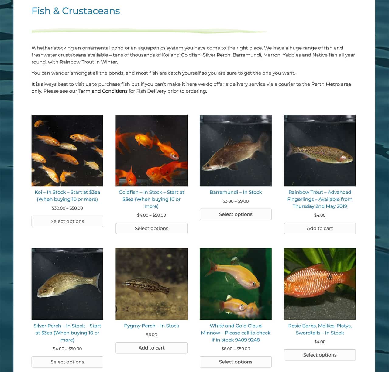 Woodvale Fish & Lily Farm Website Design