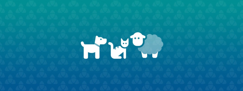 Tectalic Article Image - Pets WFH